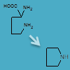 8 precursors essential for biosynthesis of alkaloids