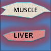 Side effects of statins used for high cholesterol