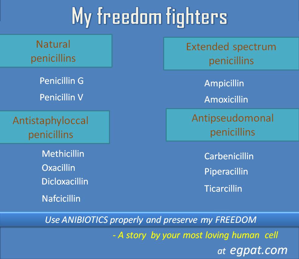 my story with antibiotics as freedom fighters