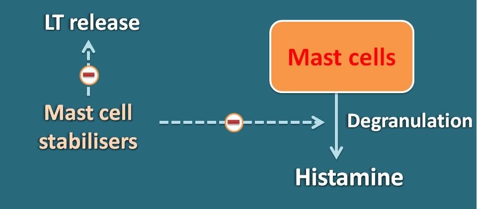 mast cell mediated allergy