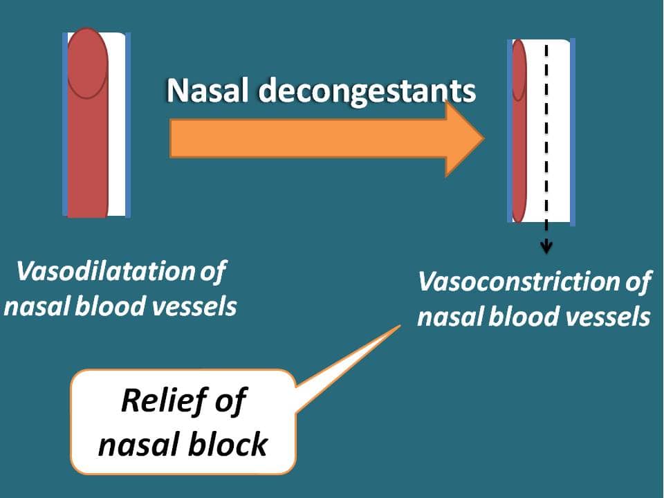 vasoconstriction by nasal decongestants