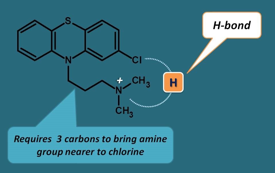 H bond at side chain