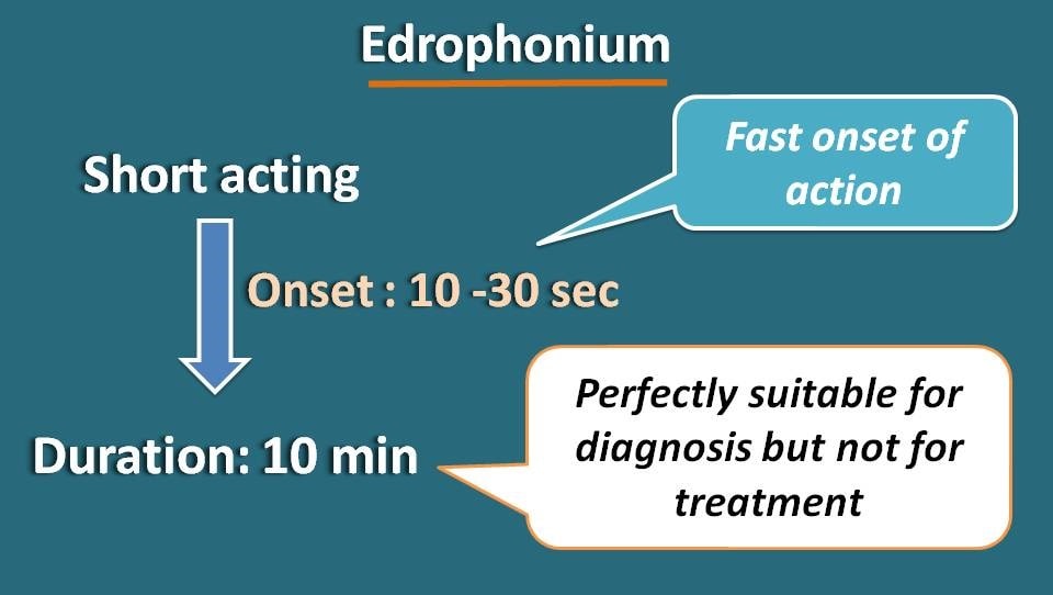 Short duration of action of edrophonium