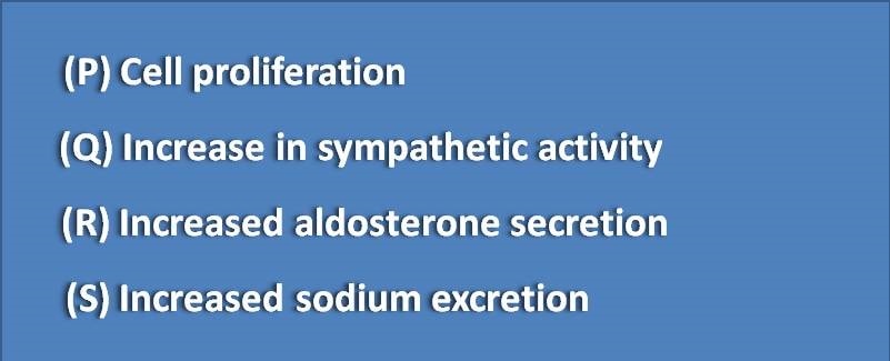 cell proliferation