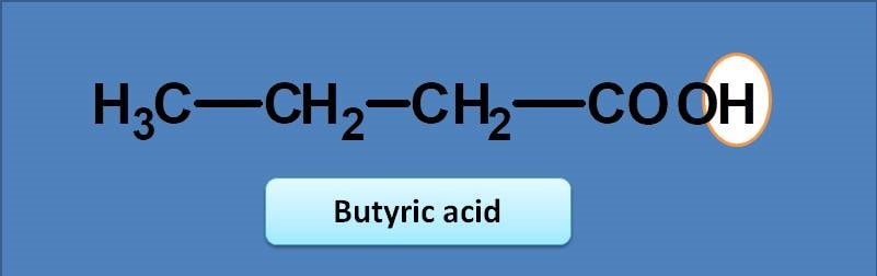 butyric-acid