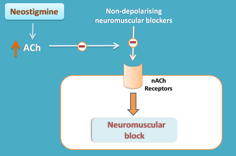neostigmine for neuromuscular blocker poisoning