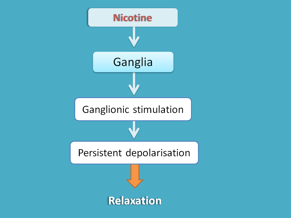 nicotine action at ganglia