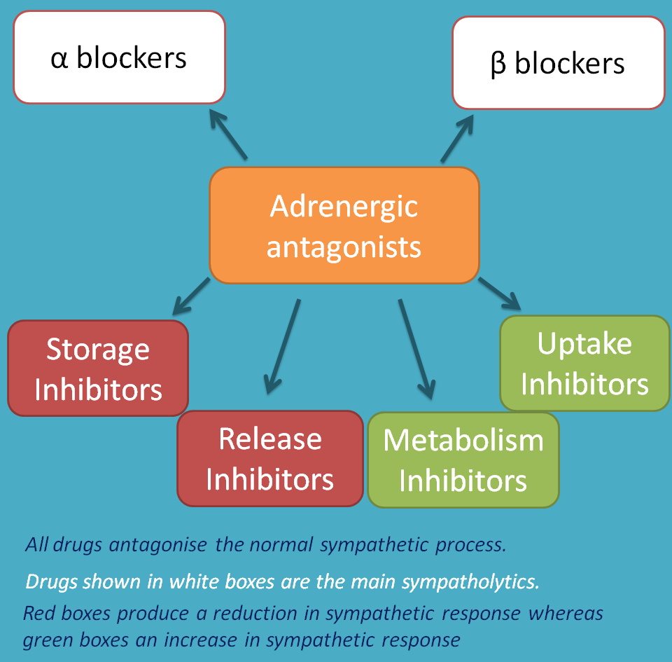 adrenergic antagonists