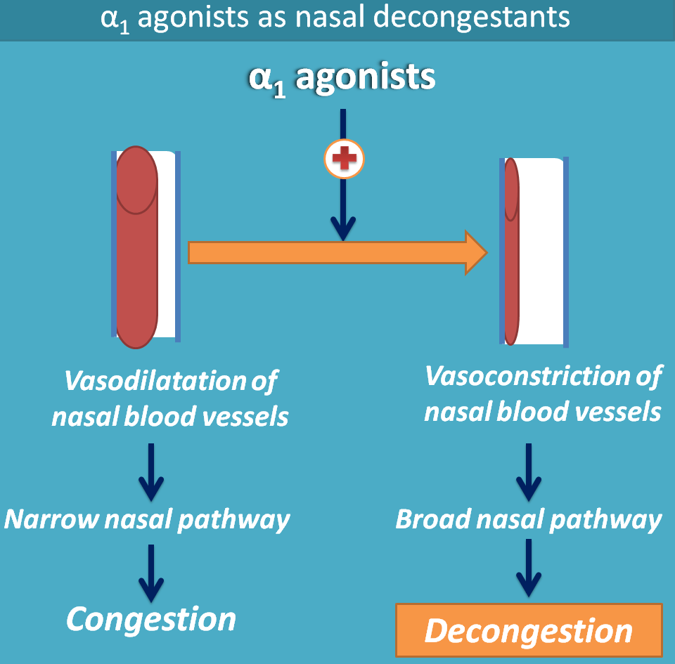 Nasal decongestion by alpha1 agonists