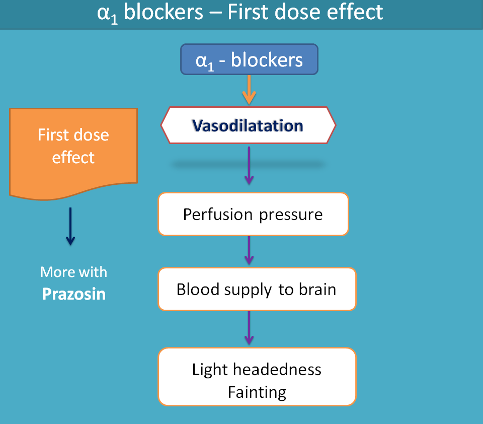 first dose effect of alpha1 blockers