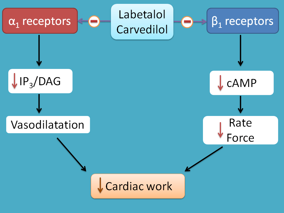 mechanism of alpha and beta blockers