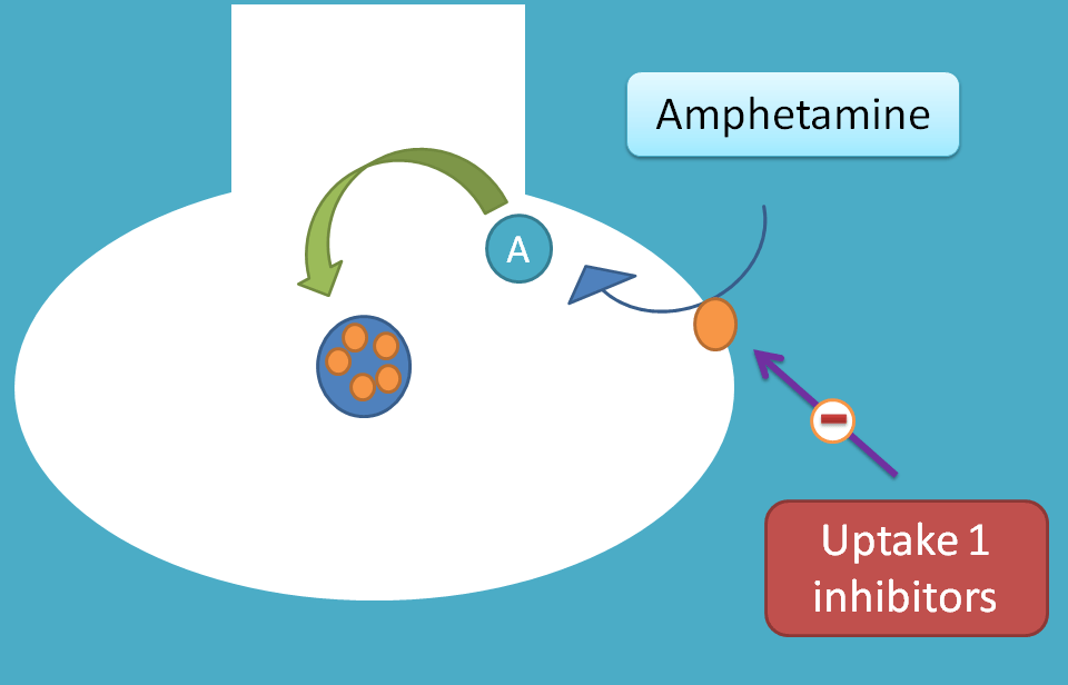 interaction of amphetamine with uptake inhibitors