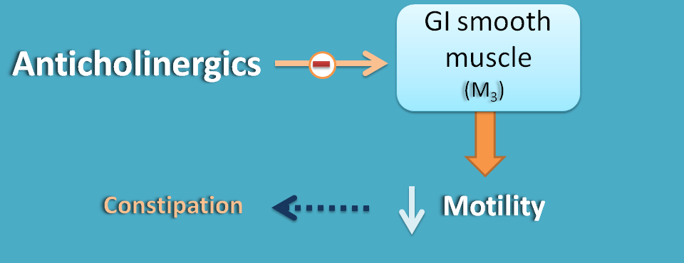 action of antichoinergics on GIT