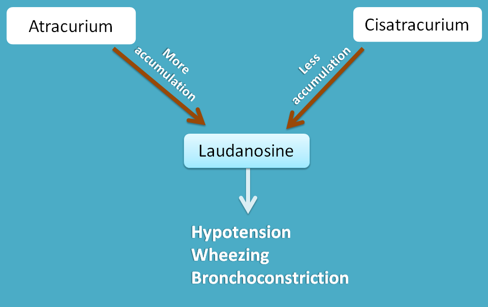 conversion of atracurium to laudanosine