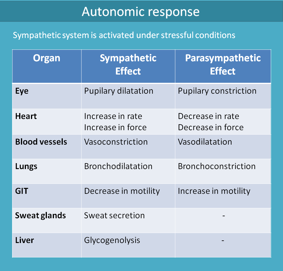 autonomic response