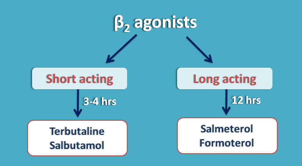 duration of beta2 agonists