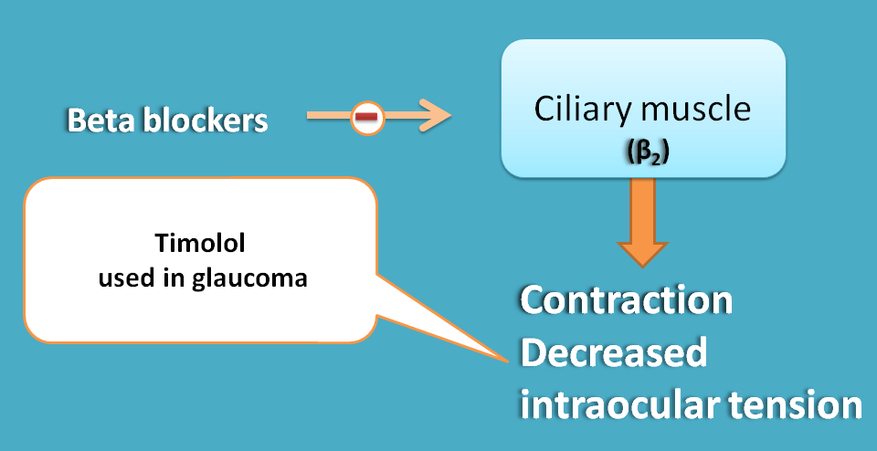 action of beta blockers on eye