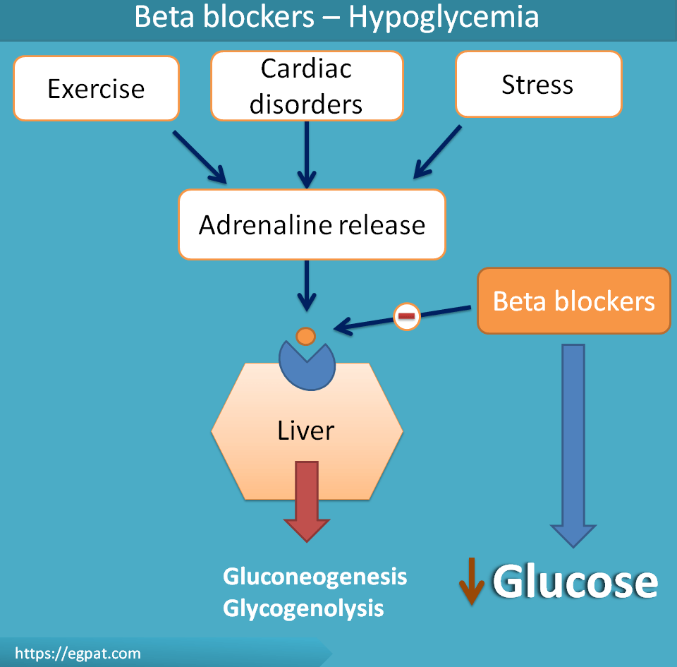 beta blocker induced hypoglycemia
