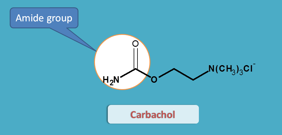 structure of carbachol