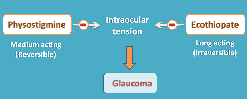 cholinesterase inhibitors in glaucoma