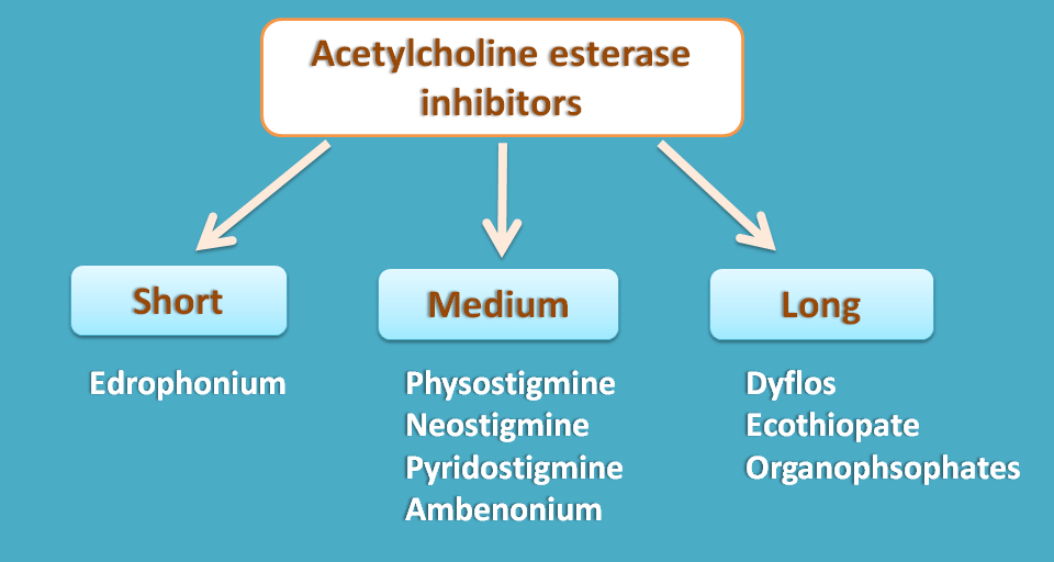 classification of cholinesterase inhibitors