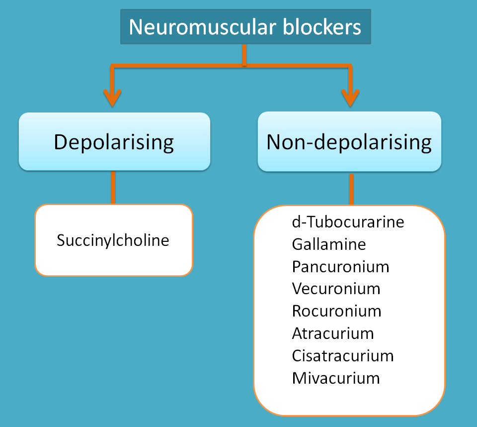 classification of neuromuscular blockers