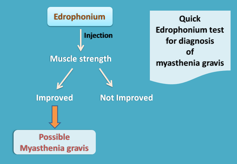 quik edrophonium test