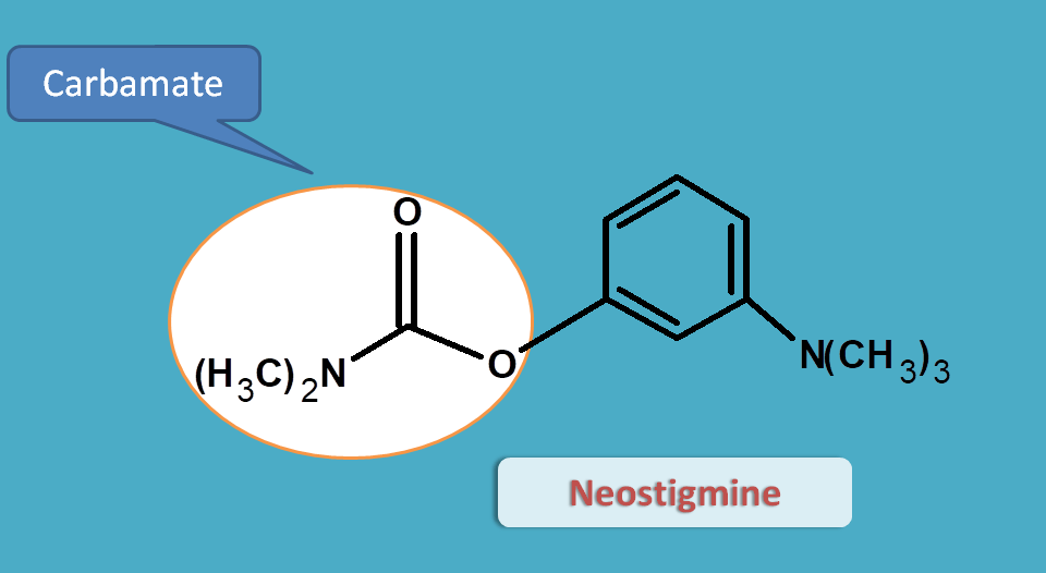 stucture of neostigmine