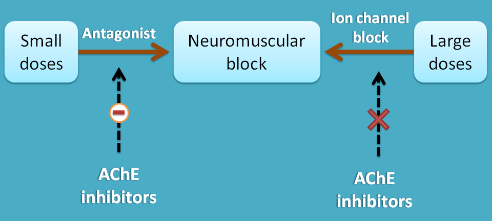neuromuscular blockers at high dose