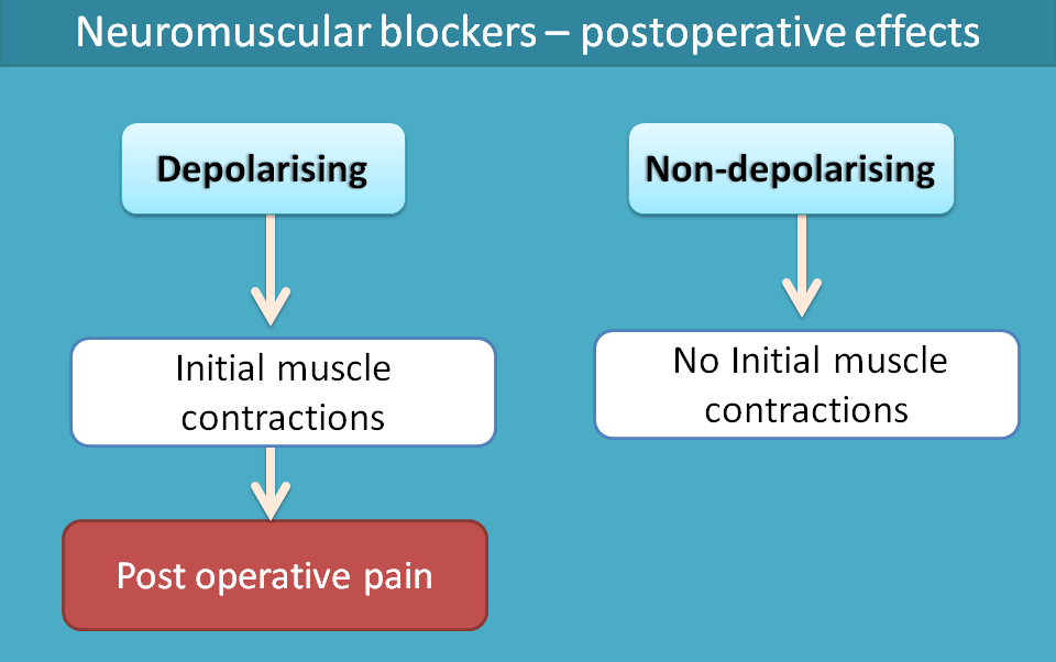 postoperative effects of neuromuscular blockers