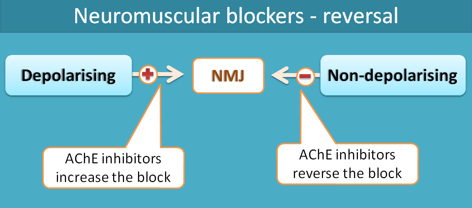 reversal of neuromuscular block