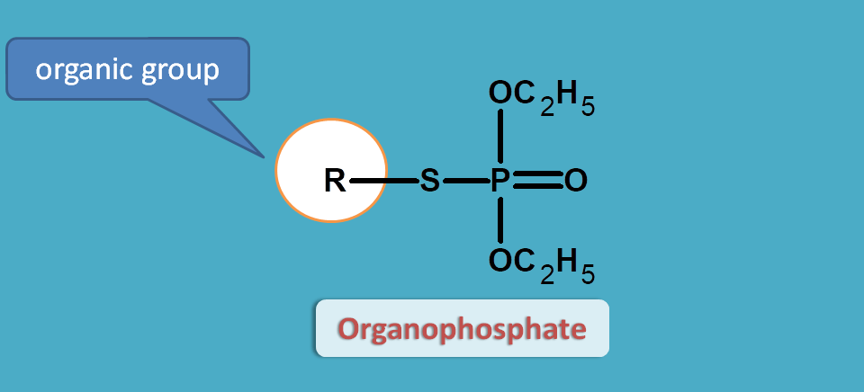 structure of organophosphates