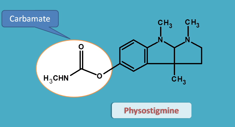 structure of physostigmine