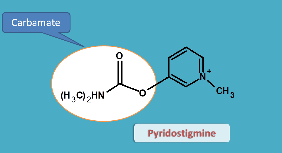 structure of pyridostigmine