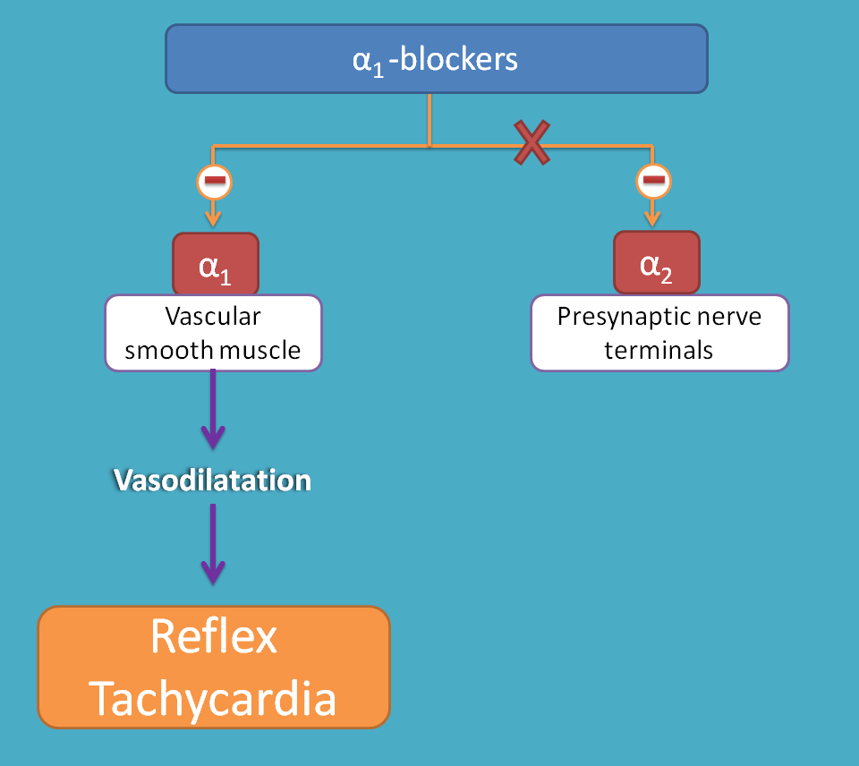 tachycardia by selective alpha1 blockers