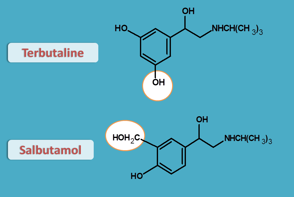 structures of salbutamol and terbutaline