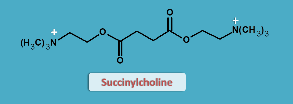 structure of succinylcholine